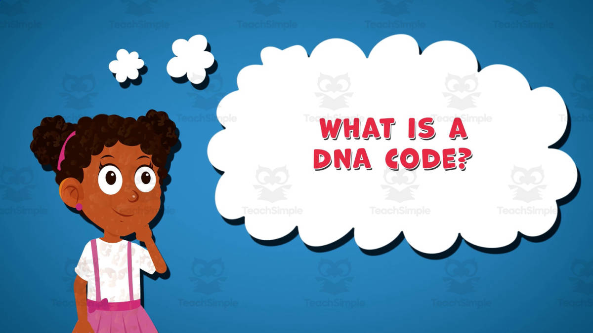 An educational teaching resource from Educational Voice entitled I WONDER - What Is A DNA Code | Animated Video Lesson downloadable at Teach Simple.