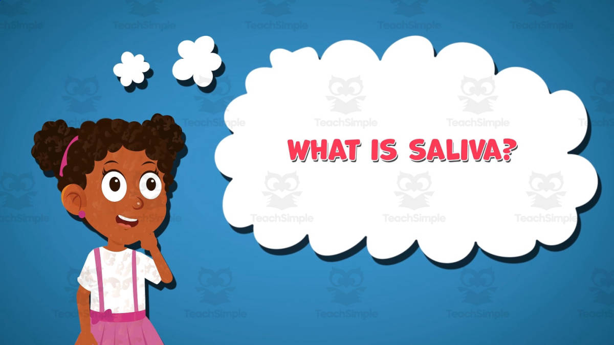 An educational teaching resource from Educational Voice entitled I WONDER - What Is Saliva | Animated Video Lesson downloadable at Teach Simple.