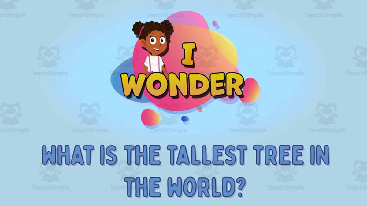 An educational teaching resource from Educational Voice entitled I WONDER - What Is The Tallest Tree In The World  | Animated Video Les downloadable at Teach Simple.