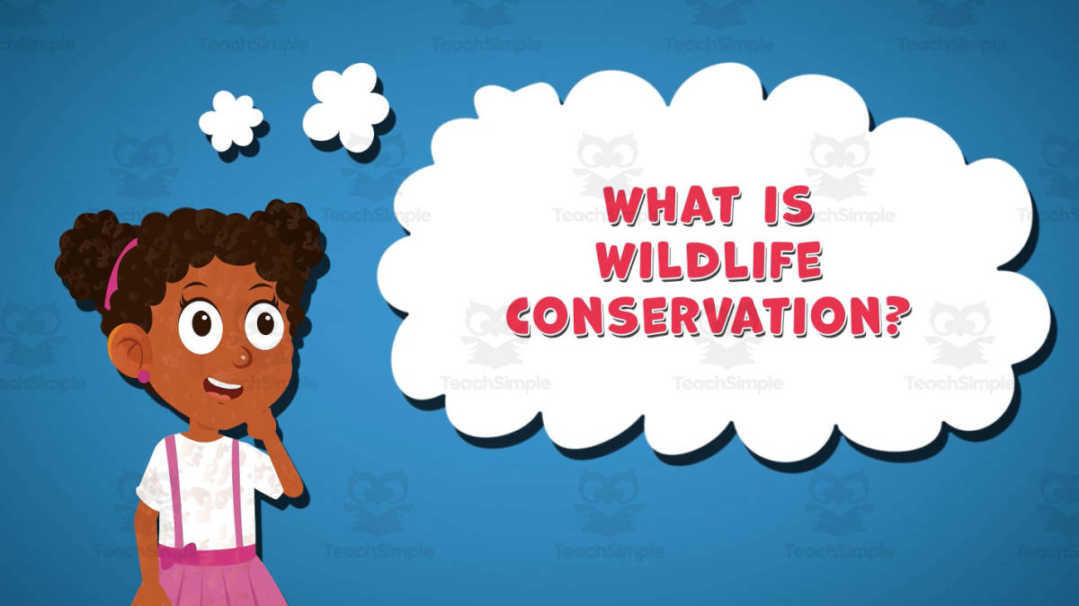 An educational teaching resource from Educational Voice entitled I WONDER - What Is Wildlife Conservation | Animated Video Lesson downloadable at Teach Simple.