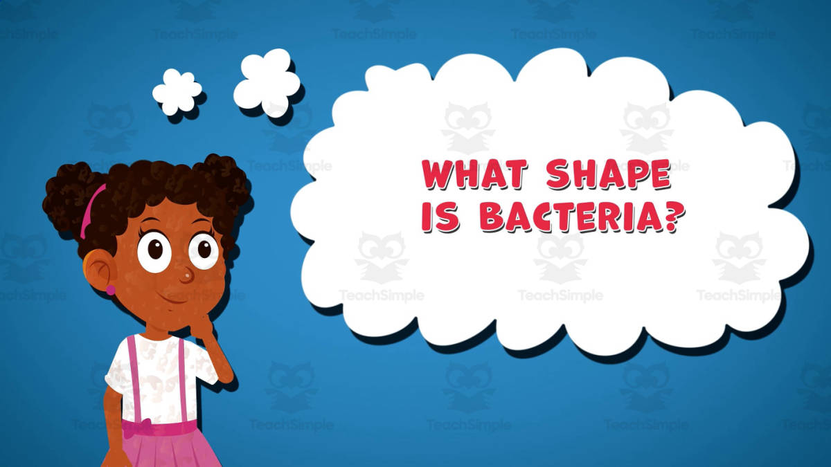 An educational teaching resource from Educational Voice entitled I WONDER - What Shape Is Bacteria | Animated Video Lesson downloadable at Teach Simple.