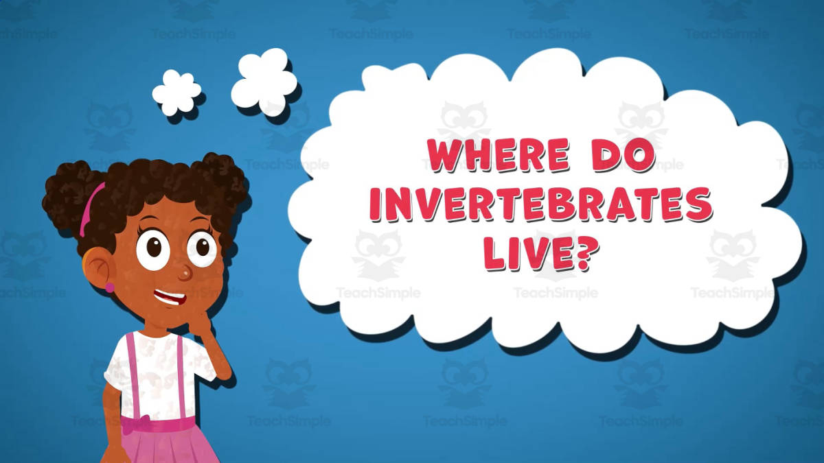An educational teaching resource from Educational Voice entitled I WONDER - Where Do Invertebrates Live | Animated Video Lesson downloadable at Teach Simple.