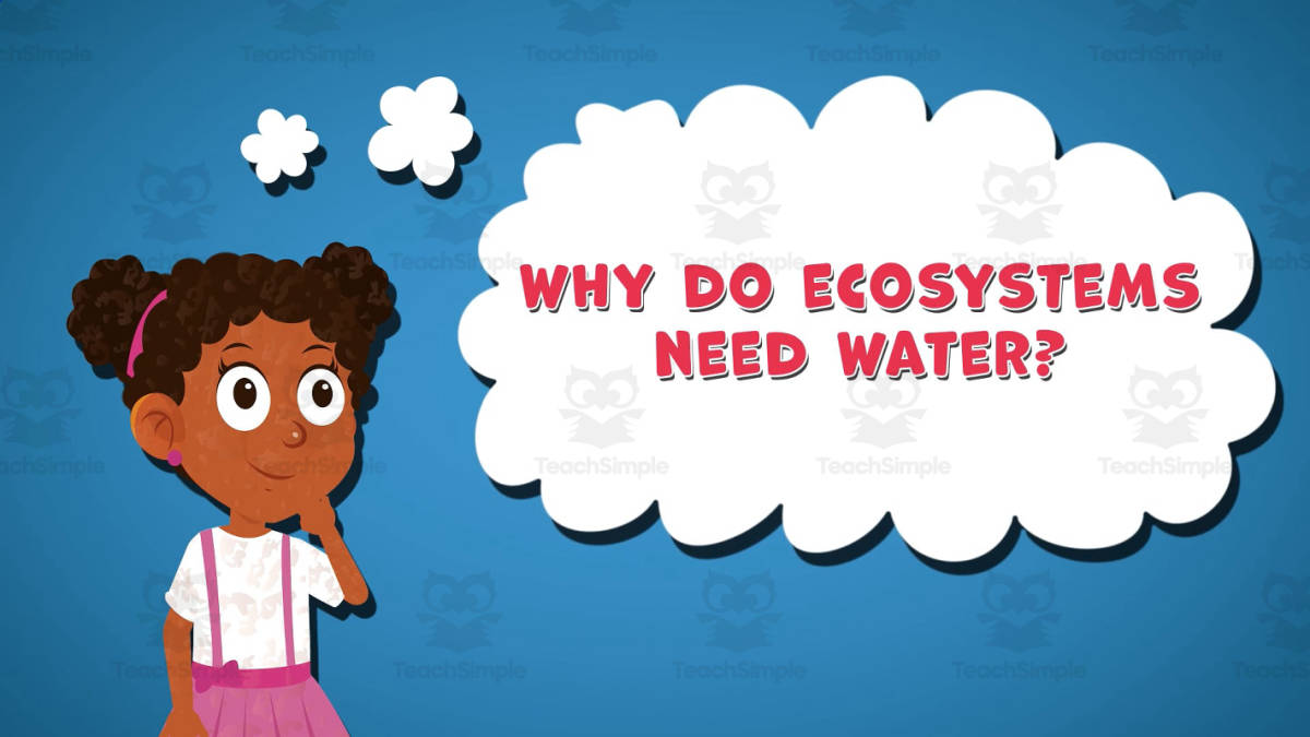An educational teaching resource from Educational Voice entitled I WONDER - Why Do Ecosystems Need Water | Animated Video Lesson downloadable at Teach Simple.