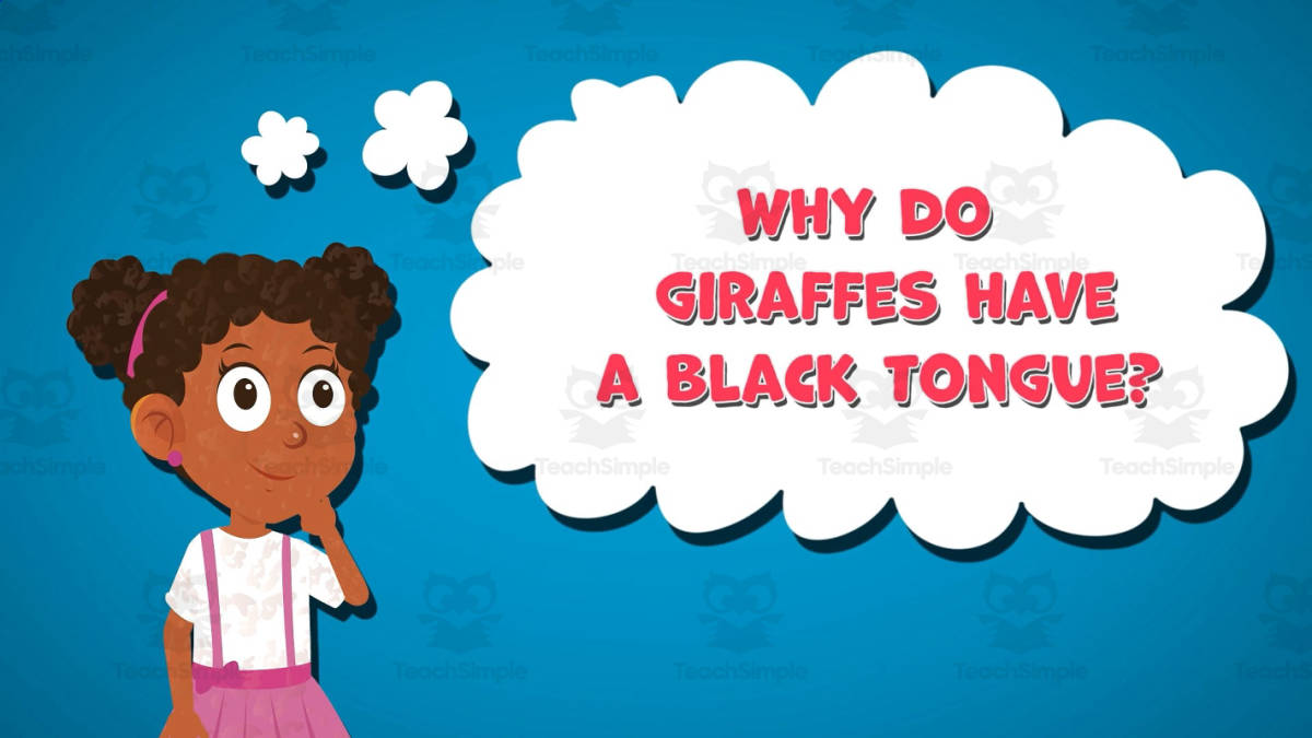 An educational teaching resource from Educational Voice entitled I WONDER - Why Do Giraffes Have A Black Tongue | Animated Video Lesson downloadable at Teach Simple.