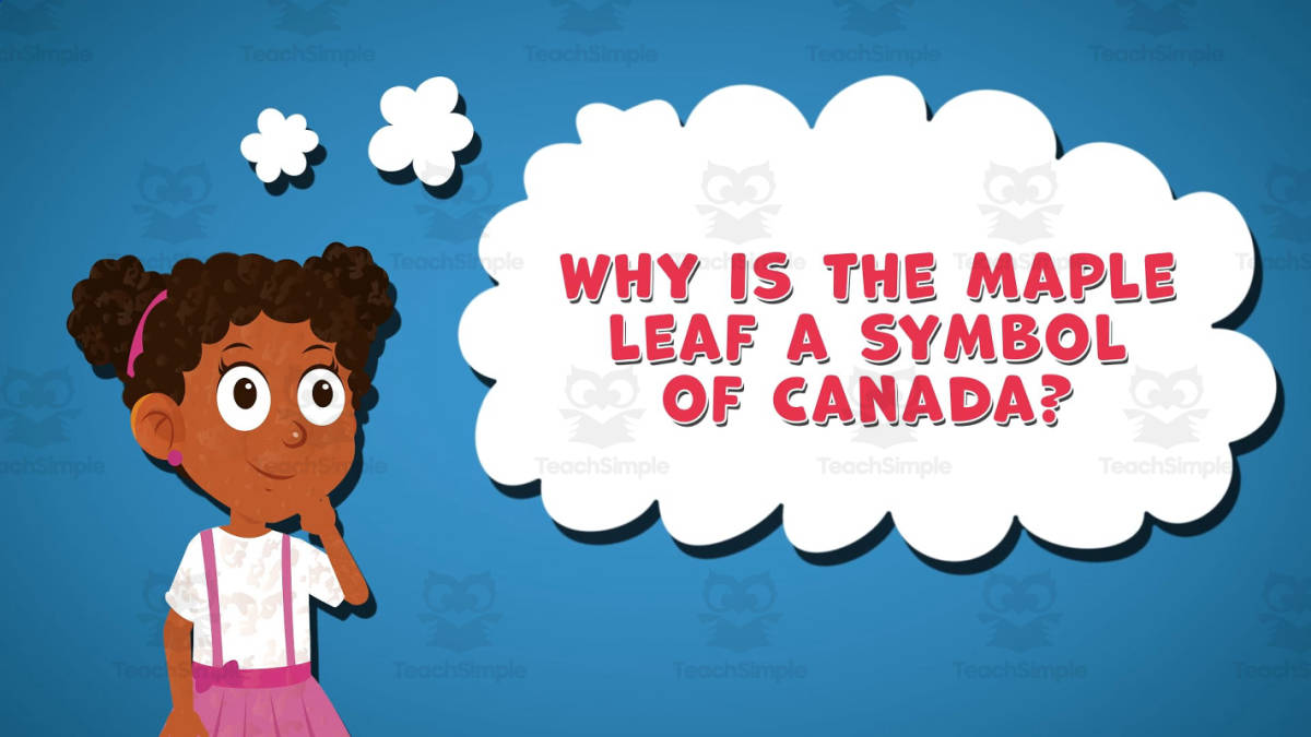An educational teaching resource from Educational Voice entitled I Wonder - Why Is The Maple Leaf A Symbol Of Canada | Animated Video downloadable at Teach Simple.
