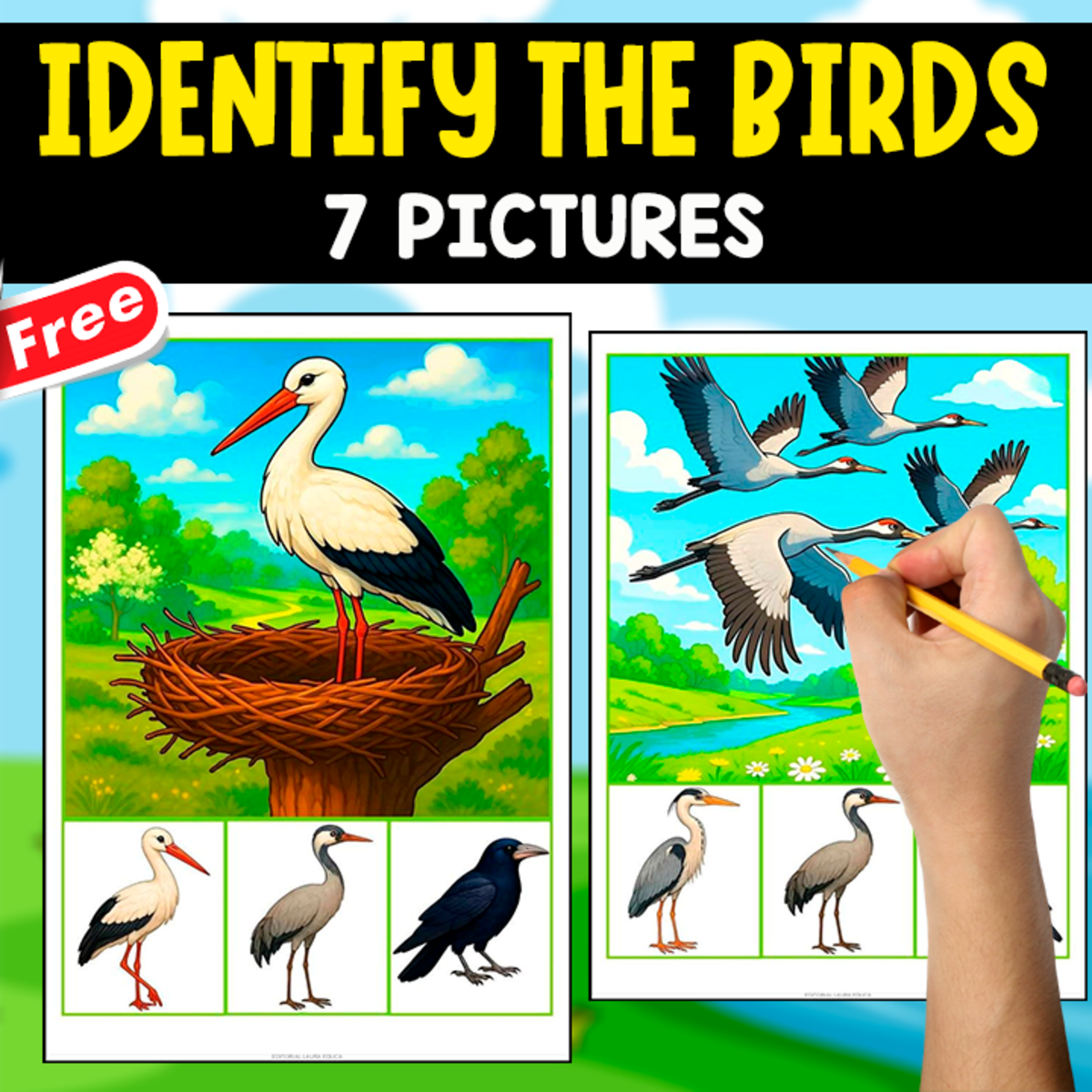 An educational teaching resource from EDITORIAL LAURA EDUCA entitled IDENTIFY THE SIMILAR BIRD | 7 FREE PICTURES downloadable at Teach Simple.