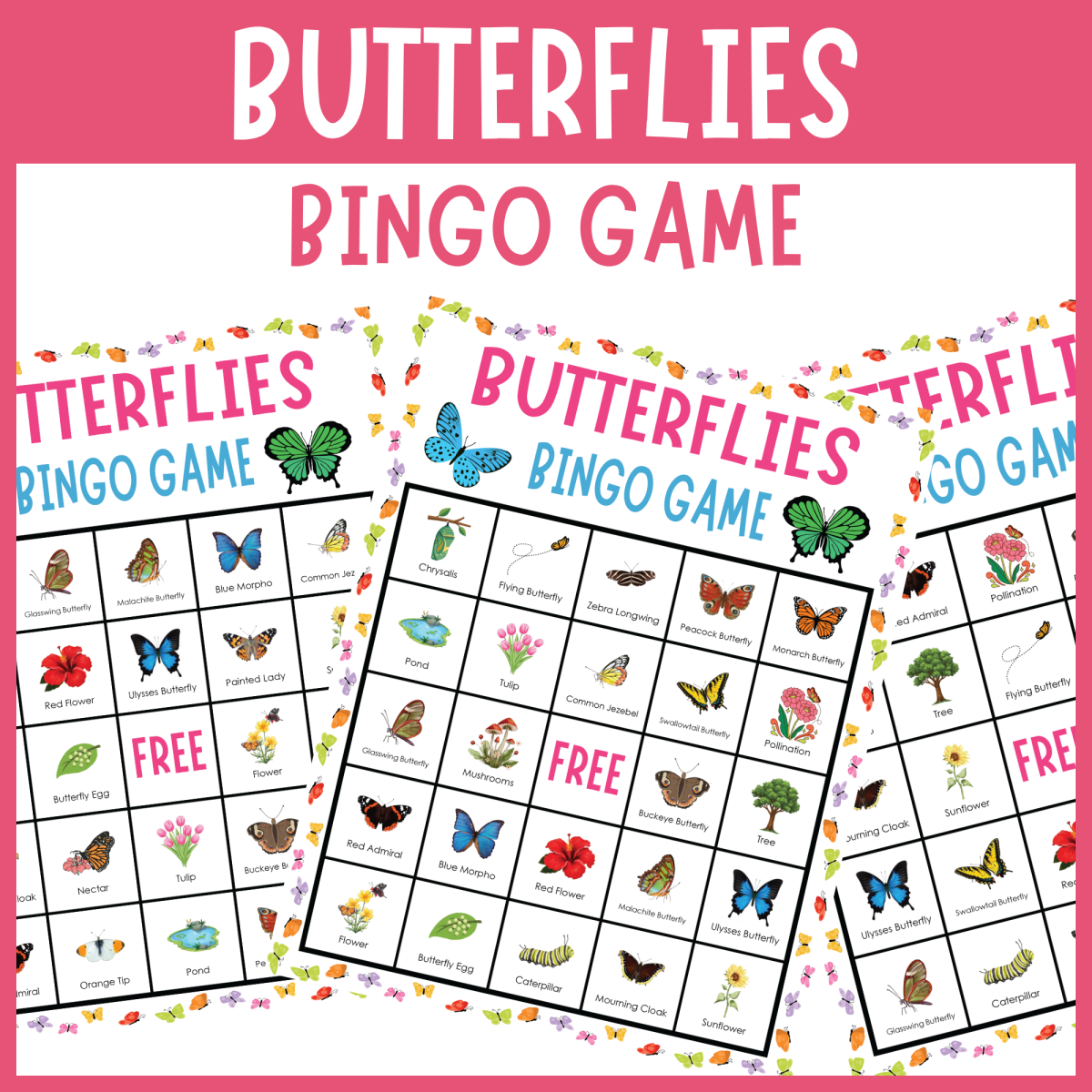An educational teaching resource from The Clever Llama entitled Identifying Butterflies Species Insect Bingo Game Nature Activities downloadable at Teach Simple.