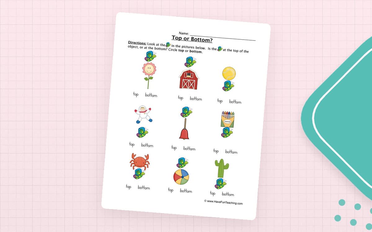 An educational teaching resource from Have Fun Teaching entitled Identifying Top or Bottom Worksheet downloadable at Teach Simple.