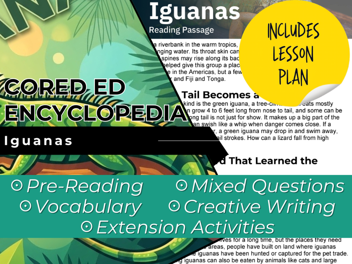 An educational teaching resource from Cored Education entitled Iguanas Reading Comprehension Passage - Cored Ed Encyclopedia downloadable at Teach Simple.