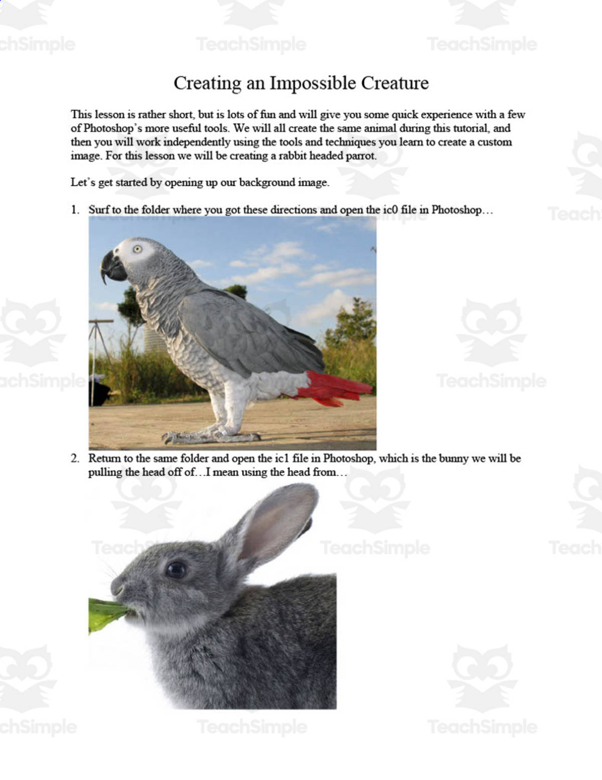 An educational teaching resource from OK Products entitled Impossible Creature Photoshop Activity downloadable at Teach Simple.