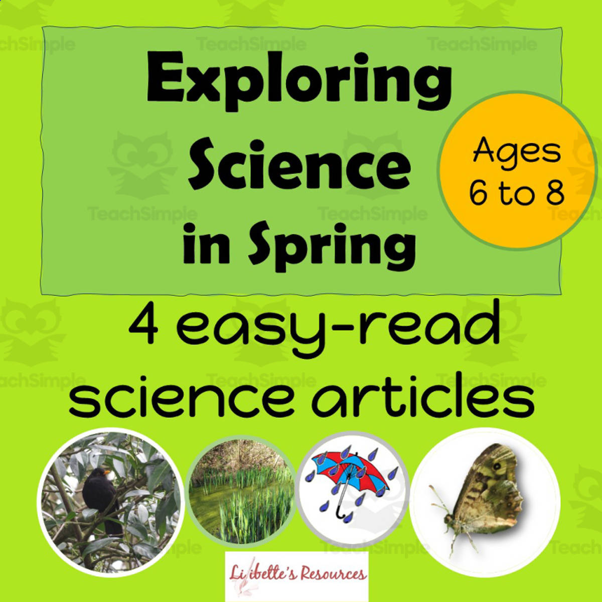 An educational teaching resource from Lilibette's Resources entitled informational Reading: Spring: Science Reading Passages Magazine Style downloadable at Teach Simple.