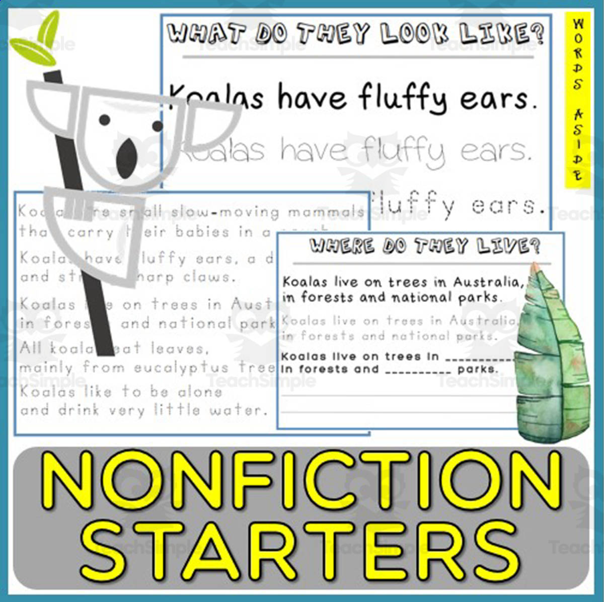An educational teaching resource from WORDS ASIDE entitled Informational Text Basic Structure | Nonfiction Simple Passage 2 downloadable at Teach Simple.