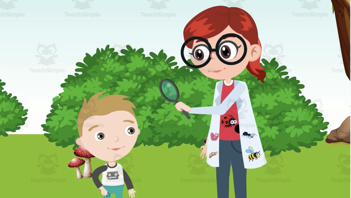An educational teaching resource from Educational Voice entitled Insect Breeding | Animated Insect Video Lesson downloadable at Teach Simple.