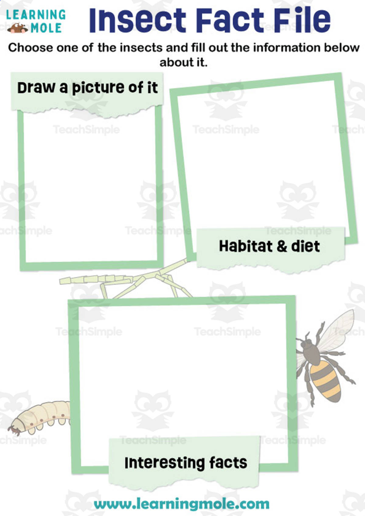 An educational teaching resource from Educational Voice entitled Insect Fact File Activity downloadable at Teach Simple.