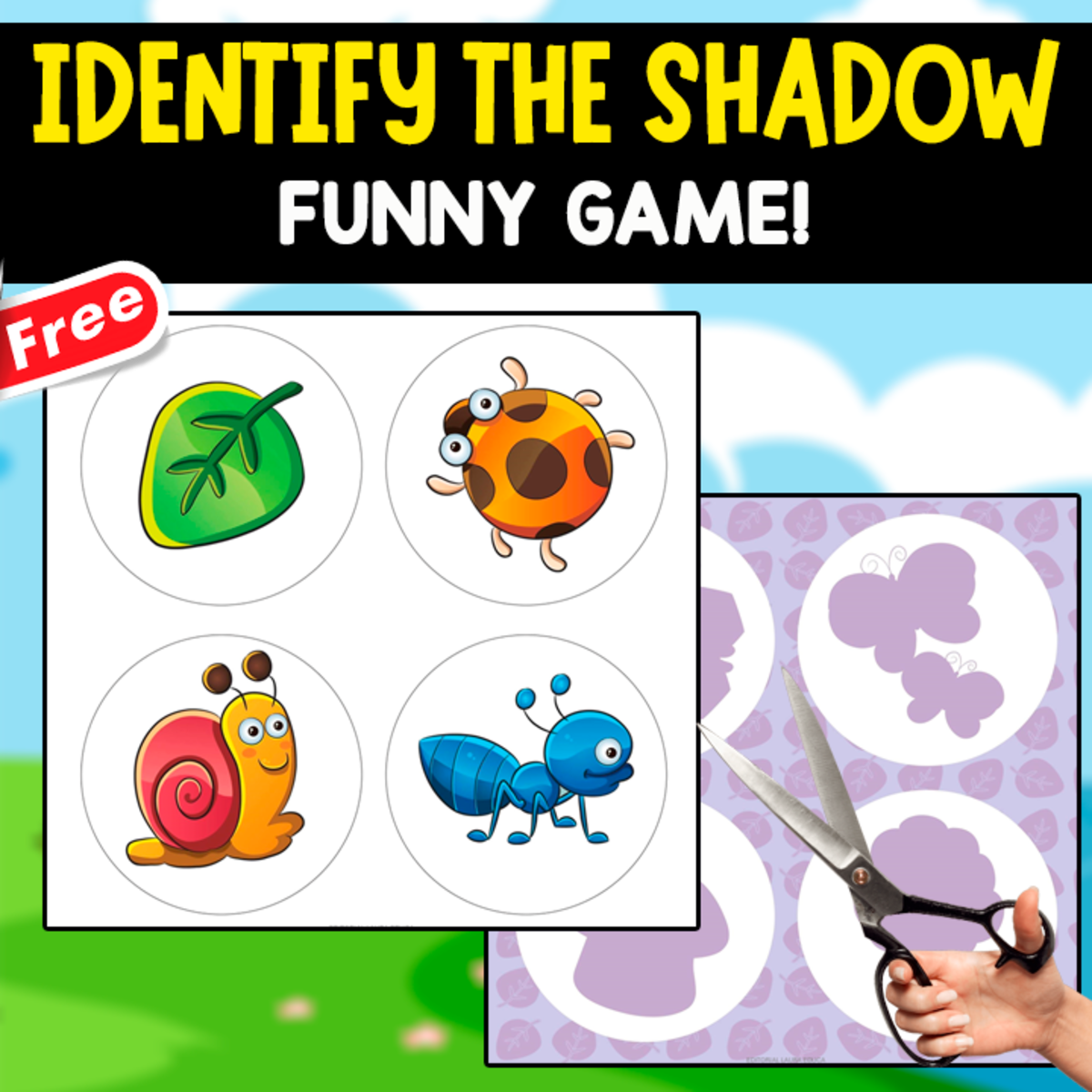 An educational teaching resource from EDITORIAL LAURA EDUCA entitled INSECT SHADOWS | 8 PAGES downloadable at Teach Simple.