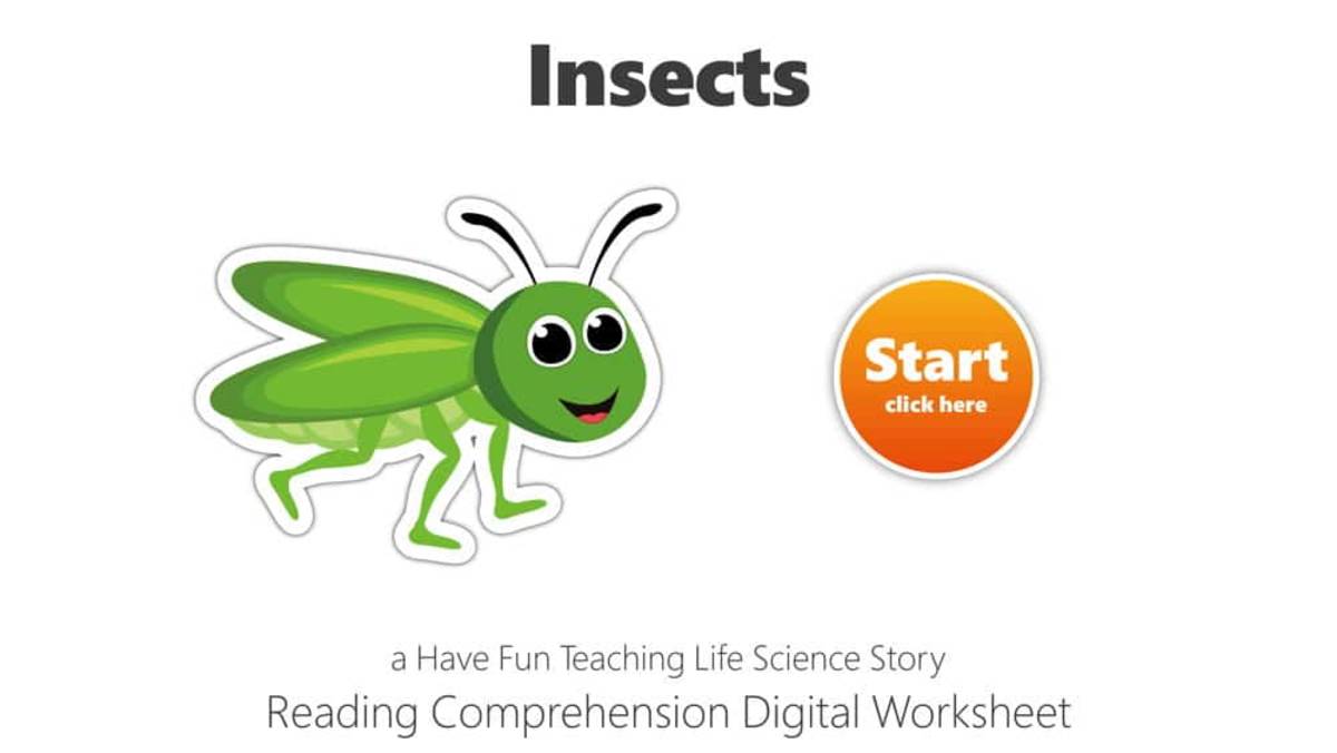 An educational teaching resource from Have Fun Teaching entitled Insects Reading Comprehension Digital Worksheet downloadable at Teach Simple.