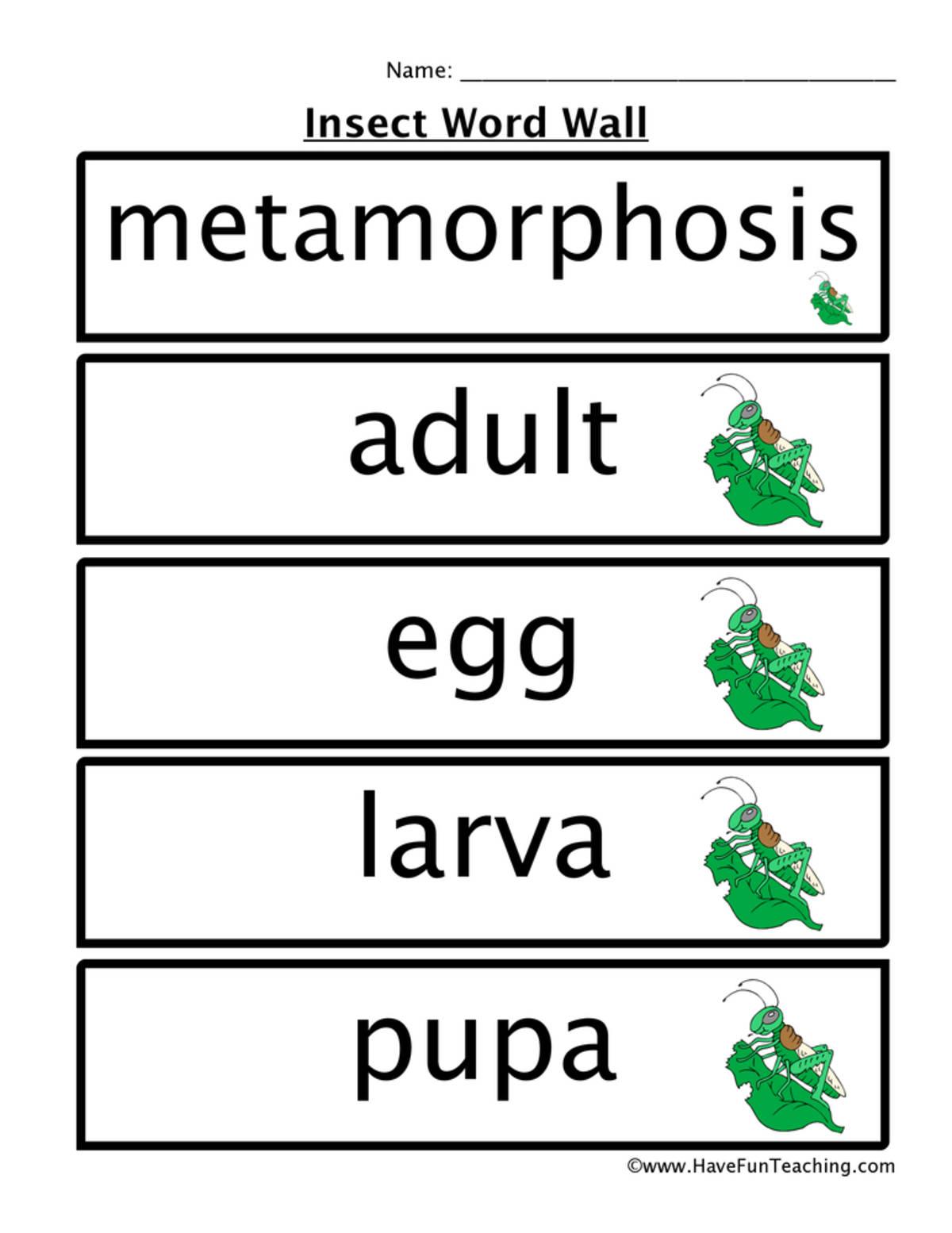 An educational teaching resource from Have Fun Teaching entitled Insects Word Wall downloadable at Teach Simple.