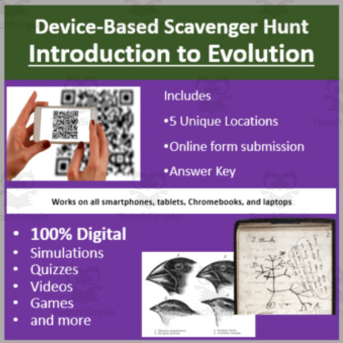 An educational teaching resource from Teach With Fergy entitled Introduction to Evolution – Lab Station Activity downloadable at Teach Simple.