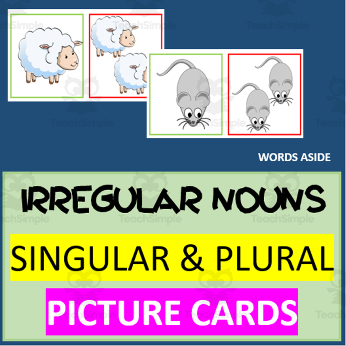 An educational teaching resource from WORDS ASIDE entitled IRREGULAR NOUNS | SINGULAR PLURAL COLOR IMAGES/PICTURES downloadable at Teach Simple.