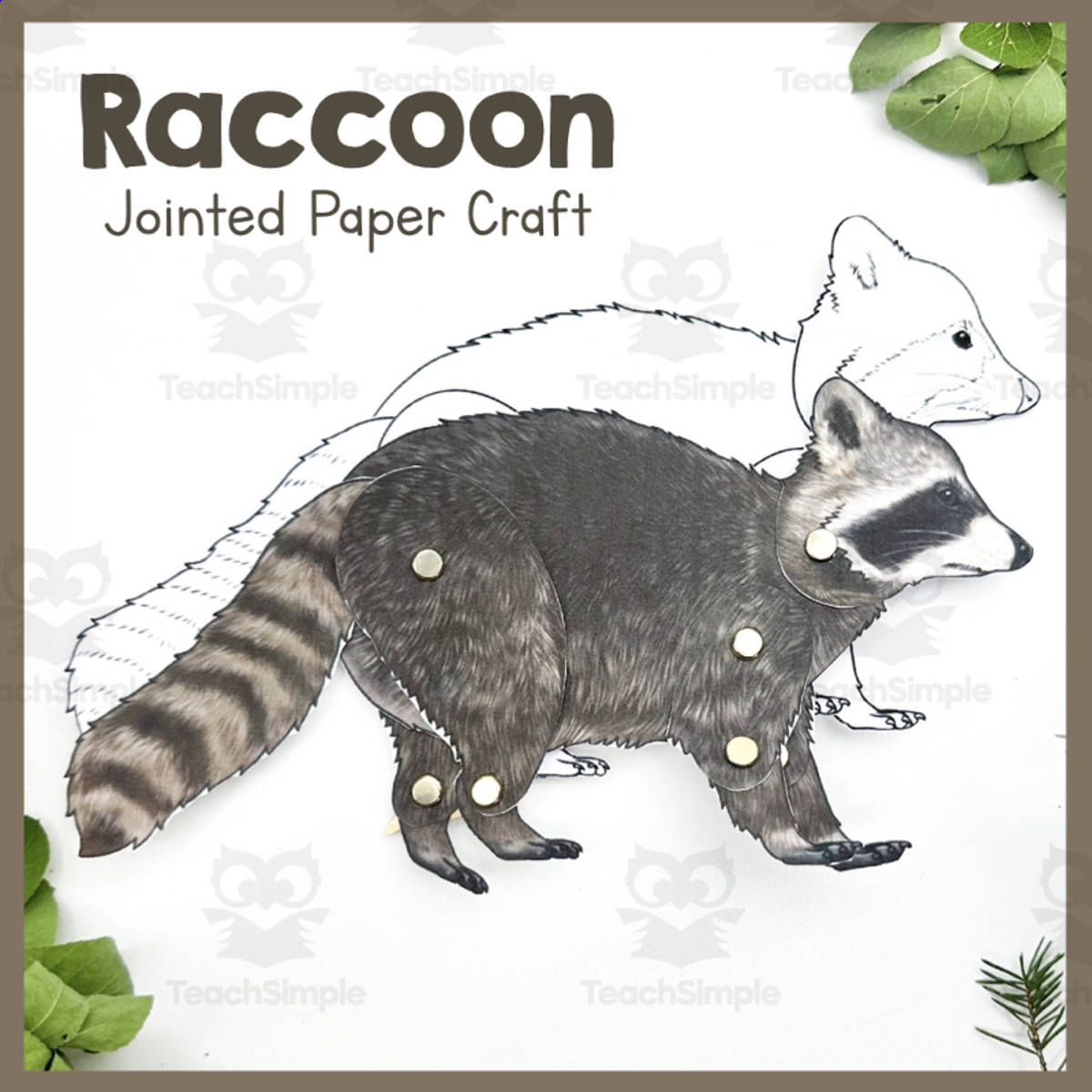 An educational teaching resource from Simply Schoolgirl entitled Jointed Raccoon Craft downloadable at Teach Simple.