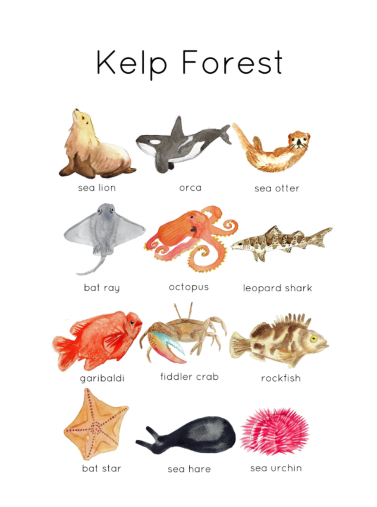 An educational teaching resource from Fiddleticks Education entitled Kelp Forest Wildlife – Flashcards & Poster Set downloadable at Teach Simple.
