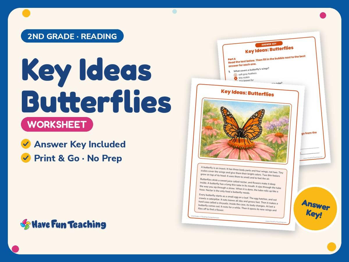 Key Ideas Butterflies Worksheet – 2nd Grade Insects & Life Cycle preview