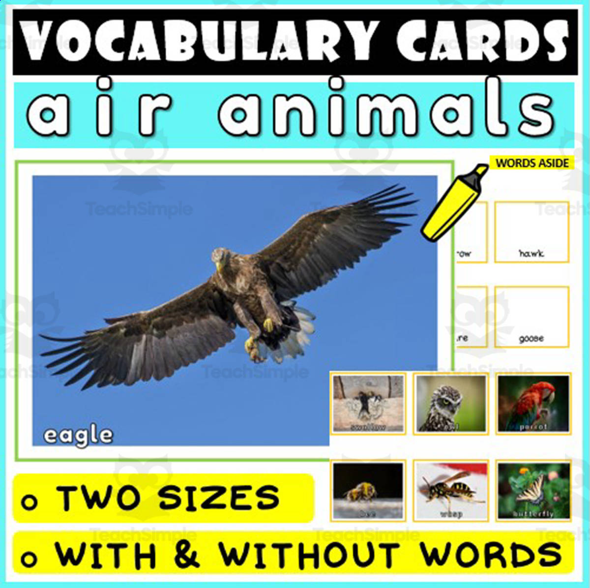 An educational teaching resource from WORDS ASIDE entitled Language Vocabulary Flashcards ESL 2 downloadable at Teach Simple.