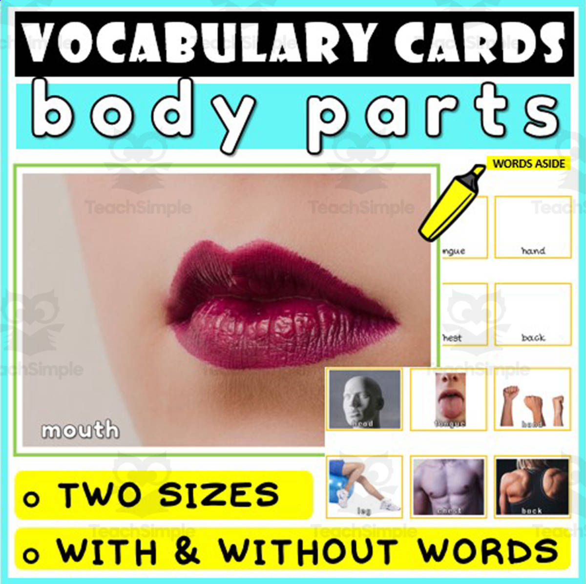 An educational teaching resource from WORDS ASIDE entitled Language Vocabulary Flashcards ESL 22 downloadable at Teach Simple.