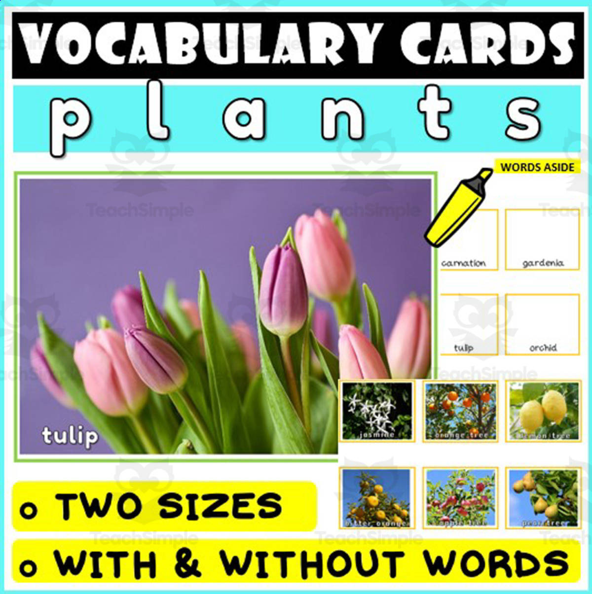 An educational teaching resource from WORDS ASIDE entitled Language Vocabulary Flashcards ESL 38 downloadable at Teach Simple.
