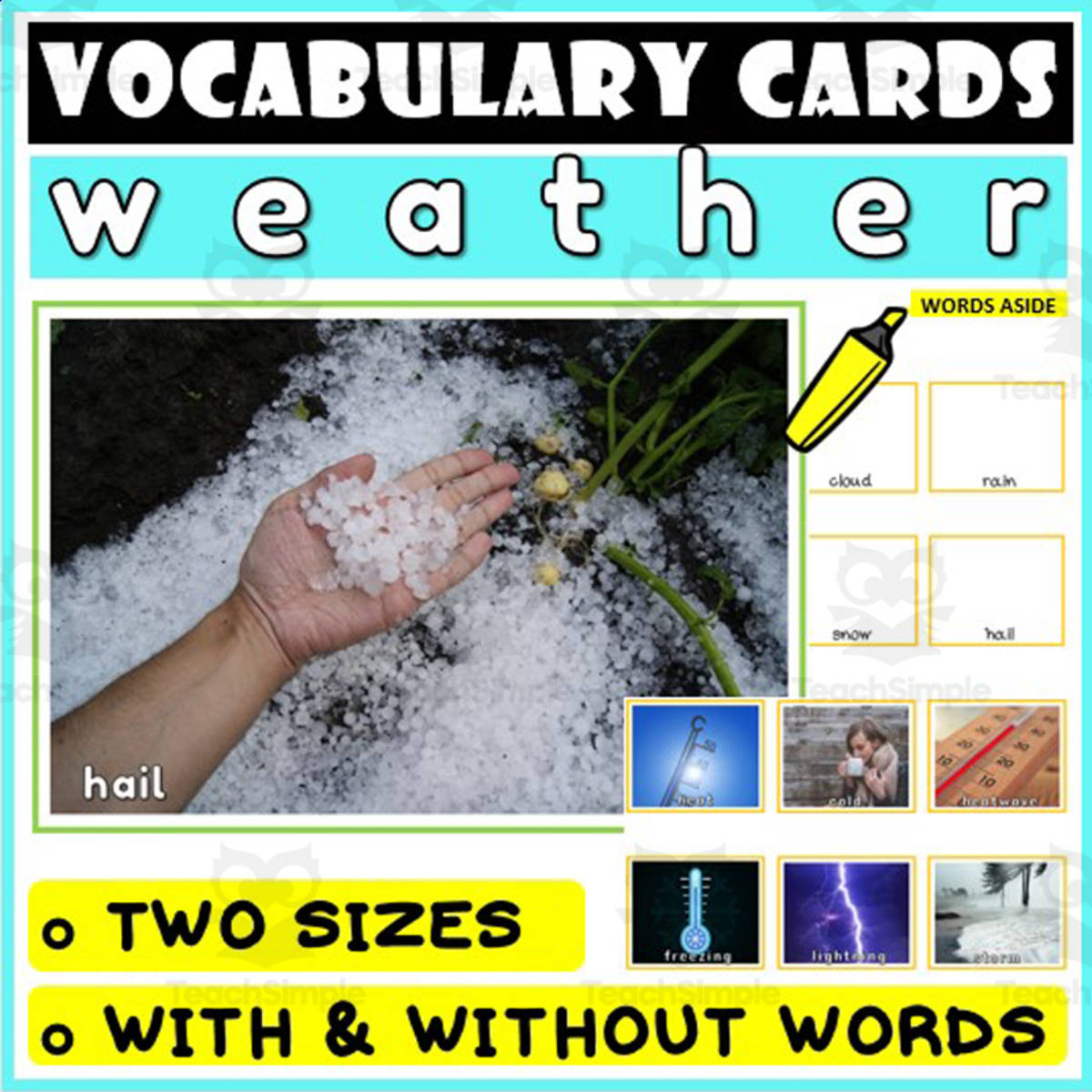 An educational teaching resource from WORDS ASIDE entitled Language Vocabulary Flashcards ESL 56 downloadable at Teach Simple.