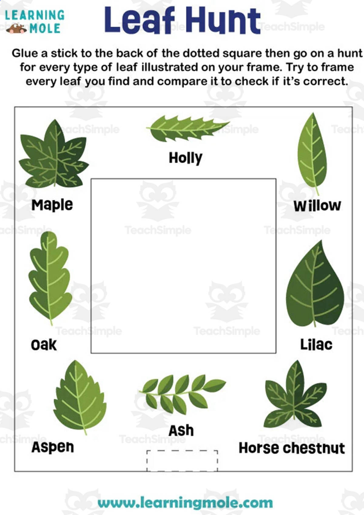 An educational teaching resource from Educational Voice entitled Leaf Hunt Activity downloadable at Teach Simple.