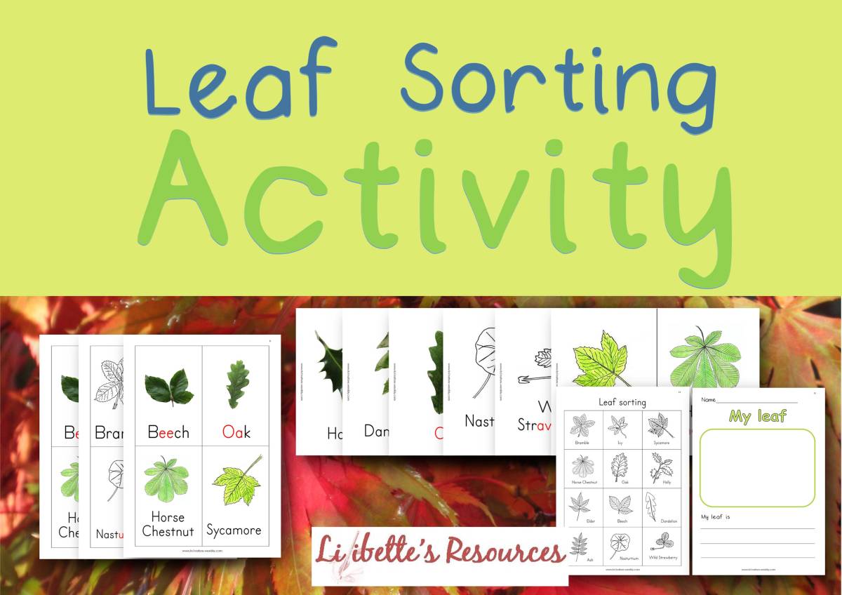 An educational teaching resource from Lilibette's Resources entitled Leaf Sorting Activity: Kindergarten Science Projects downloadable at Teach Simple.