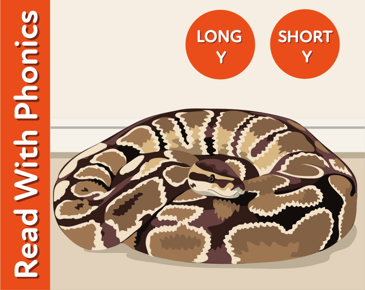 An educational teaching resource from Guinea Pig Education entitled Learn Long Y and Short Y. downloadable at Teach Simple.