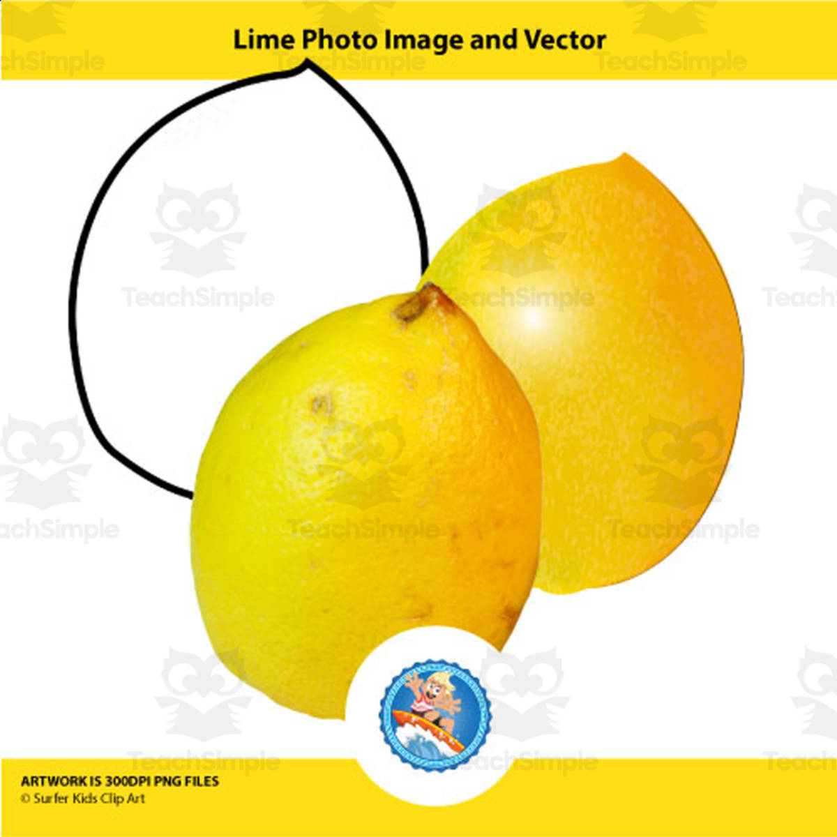 An educational teaching resource from Surfer Kids Clip Art entitled Lemon Photo Image and Vector downloadable at Teach Simple.