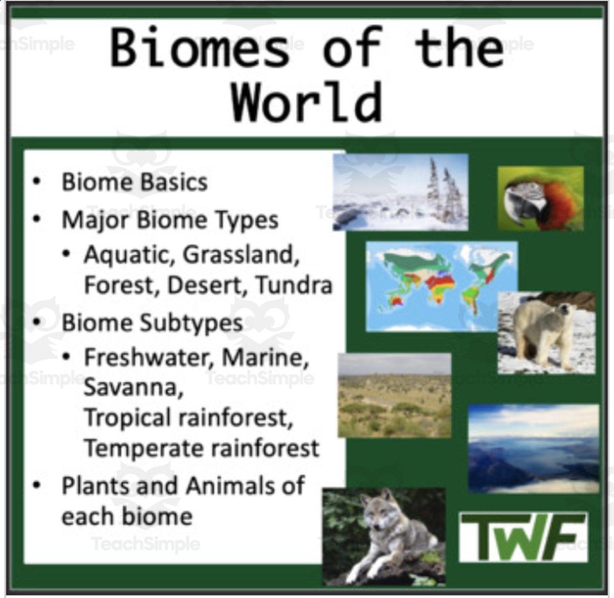 An educational teaching resource from Teach With Fergy entitled Lesson on Biomes of the Earth downloadable at Teach Simple.