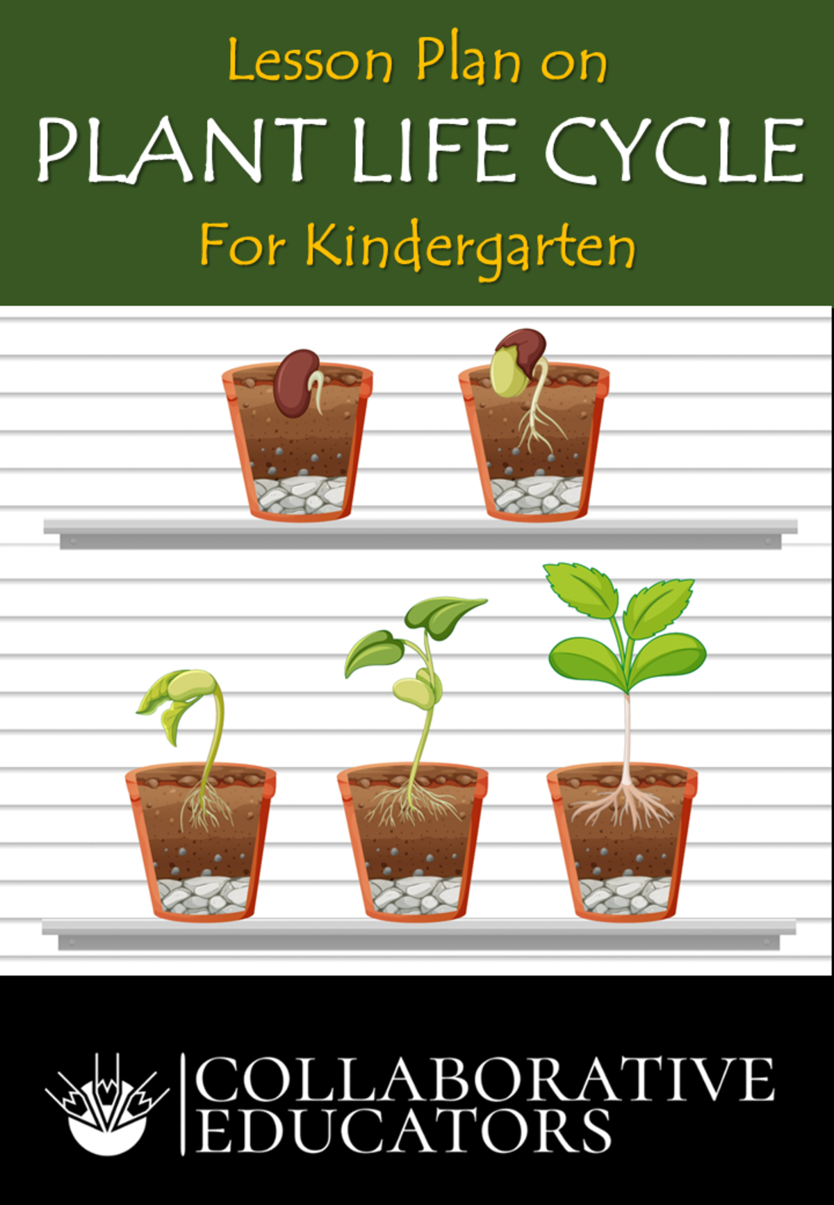 An educational teaching resource from Bright Classroom Ideas Marketplace entitled Lesson Plan on Plant Life Cycle for Kindergarten downloadable at Teach Simple.