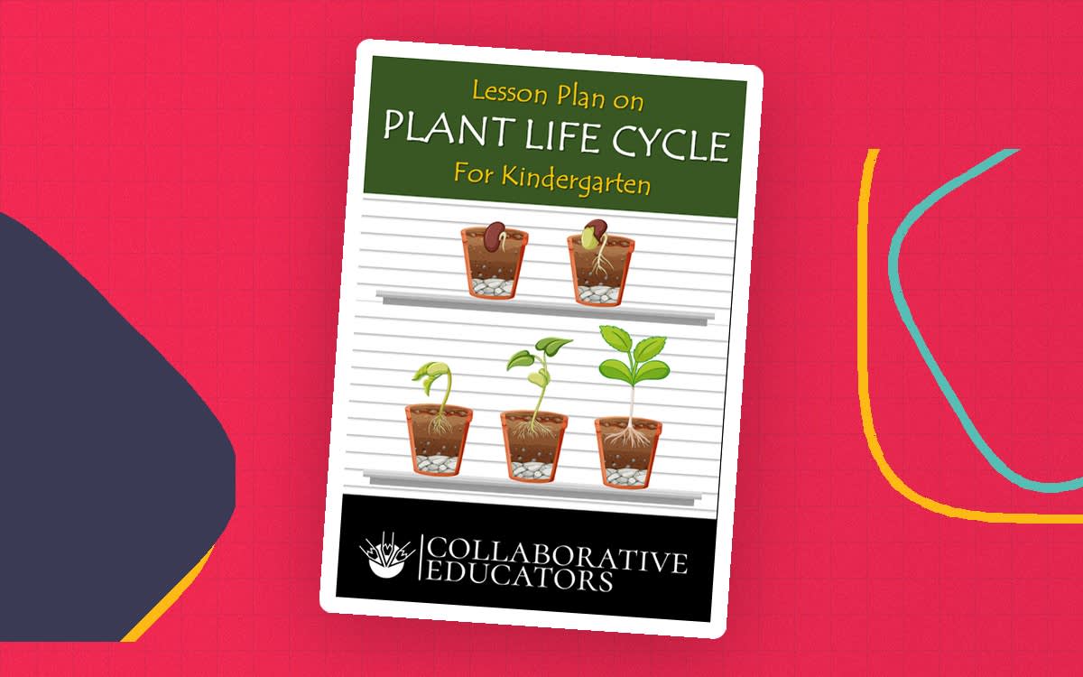An educational teaching resource from Bright Classroom Ideas Marketplace entitled Lesson Plan on Plant Life Cycle for Kindergarten downloadable at Teach Simple.