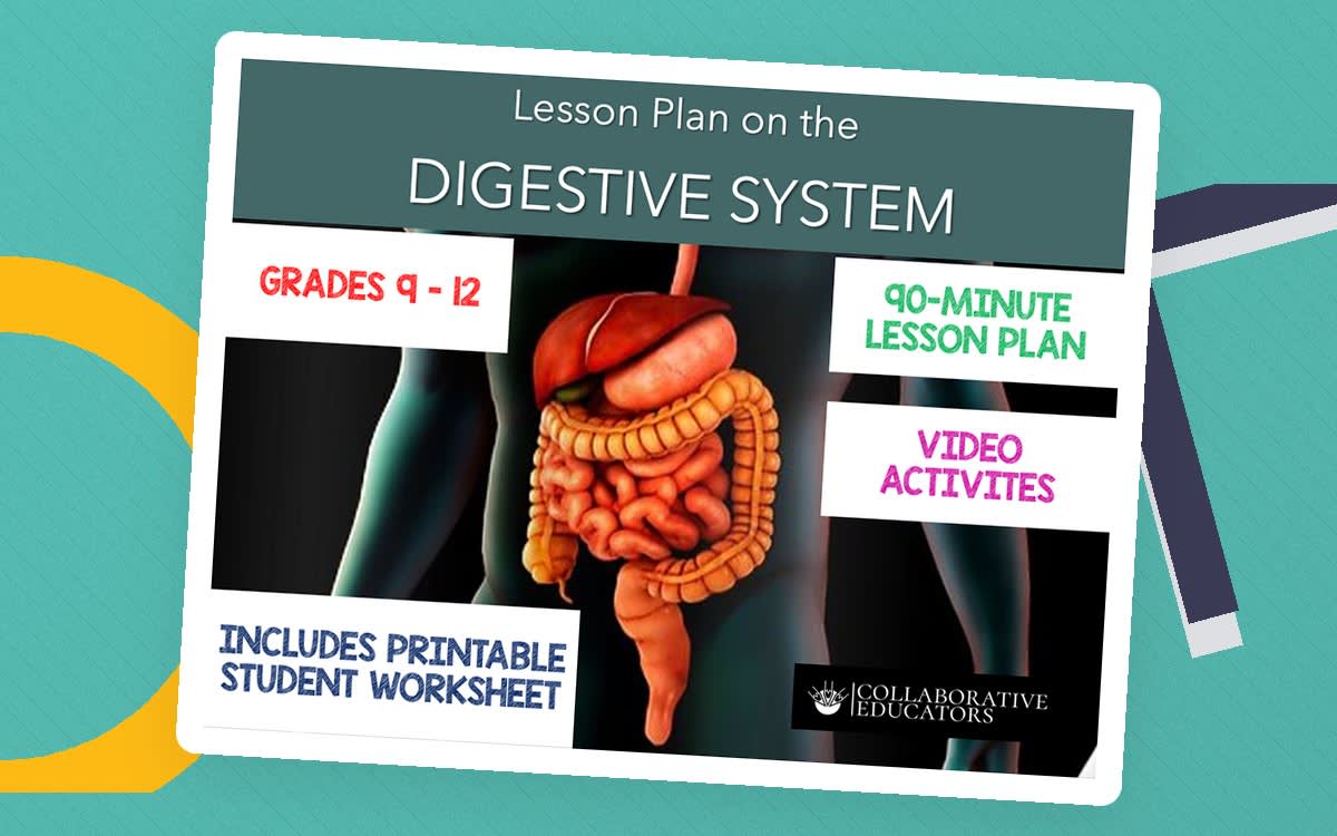 An educational teaching resource from Bright Classroom Ideas Marketplace entitled Lesson Plan on the Digestive System downloadable at Teach Simple.