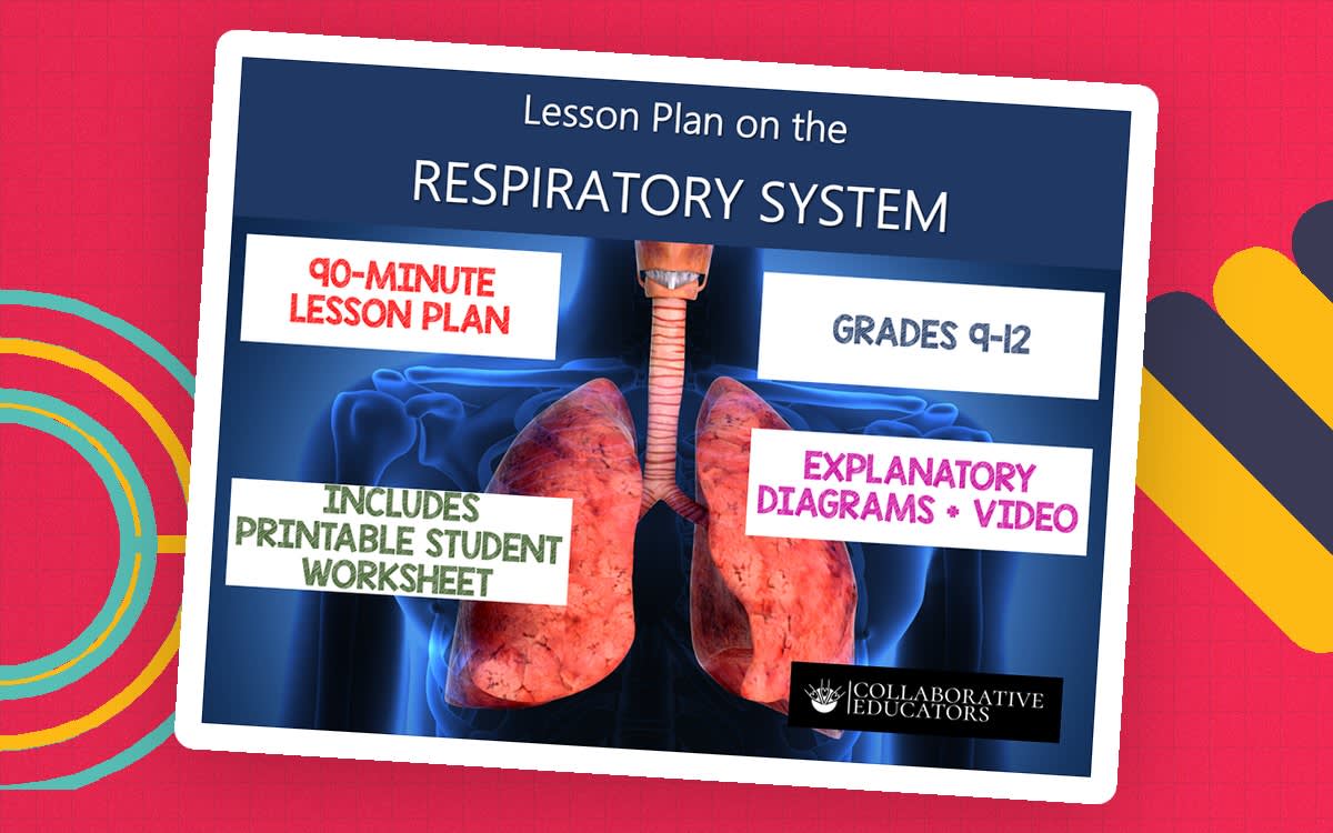 An educational teaching resource from Bright Classroom Ideas Marketplace entitled Lesson Plan on the Respiratory System - Grades 9-12 downloadable at Teach Simple.