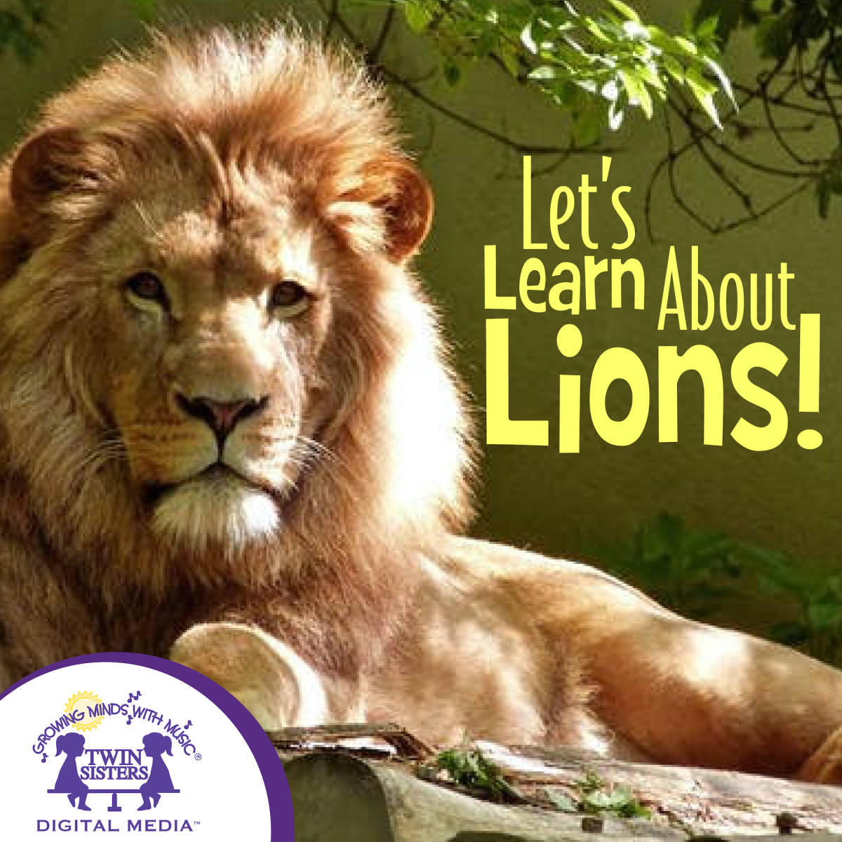 An educational teaching resource from Twin Sisters Digital Media entitled Let's Learn About Lions Audio Book downloadable at Teach Simple.