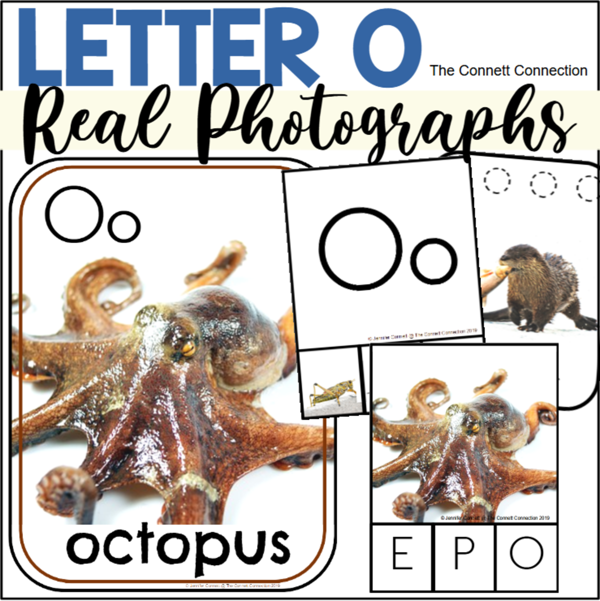 An educational teaching resource from The Connett Connection entitled Letter O Phonics and Writing Centers with Real Photographs downloadable at Teach Simple.