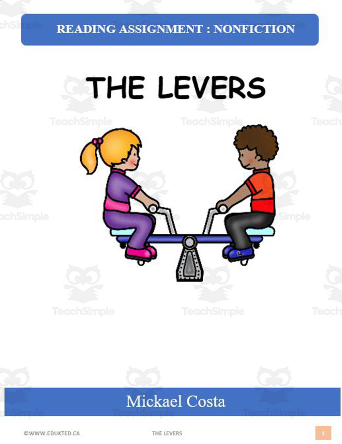 An educational teaching resource from Learn it ANY way entitled Levers (#1553) downloadable at Teach Simple.