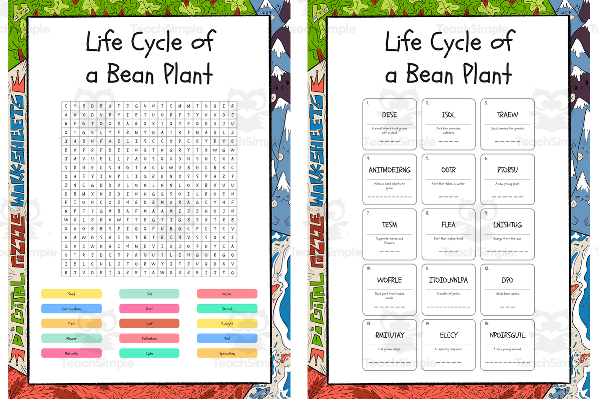 An educational teaching resource from Lapiiin Art Activities entitled Life Cycle of a Bean Plant word search, scramble and crossword puzzles downloadable at Teach Simple.
