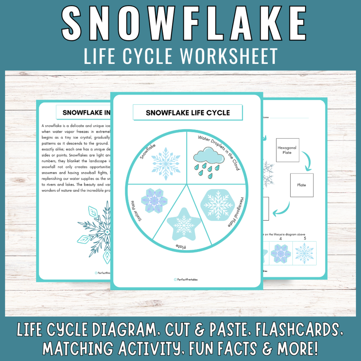 An educational teaching resource from Perfect_Printables entitled Life Cycle of a Snowflake Worksheet: Winter Science Center Activities downloadable at Teach Simple.