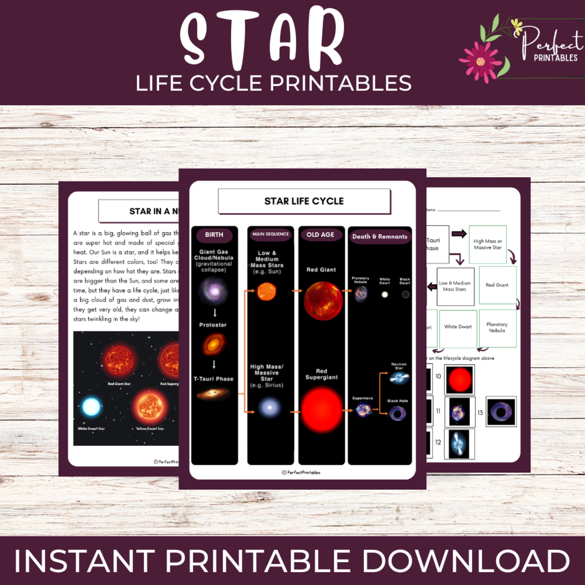 An educational teaching resource from Perfect_Printables entitled Life Cycle of a Star Worksheet - Science Unit Study With Fun Facts! downloadable at Teach Simple.