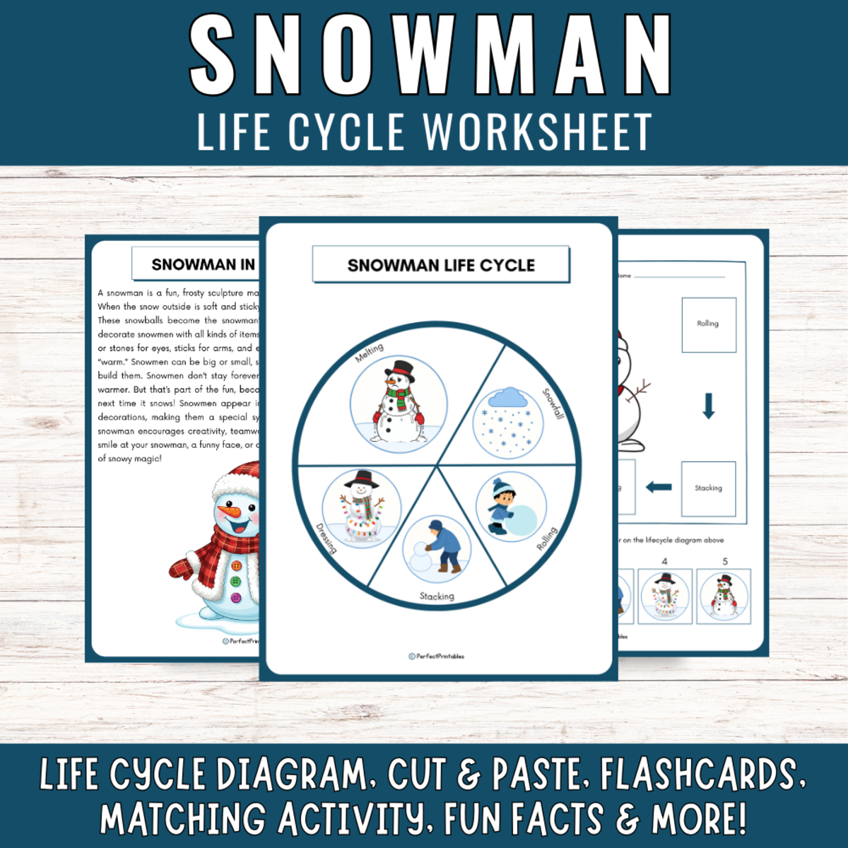 An educational teaching resource from Perfect_Printables entitled Life Cycle of a Winter Snowman: Winter Science Center Activities & Fun downloadable at Teach Simple.