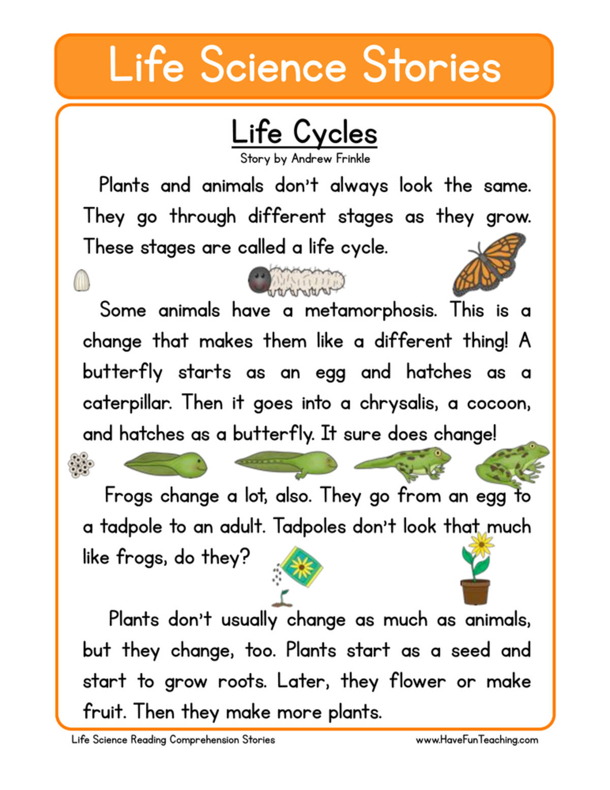 An educational teaching resource from Have Fun Teaching entitled Life Cycles Life Science Reading Comprehension Worksheet downloadable at Teach Simple.