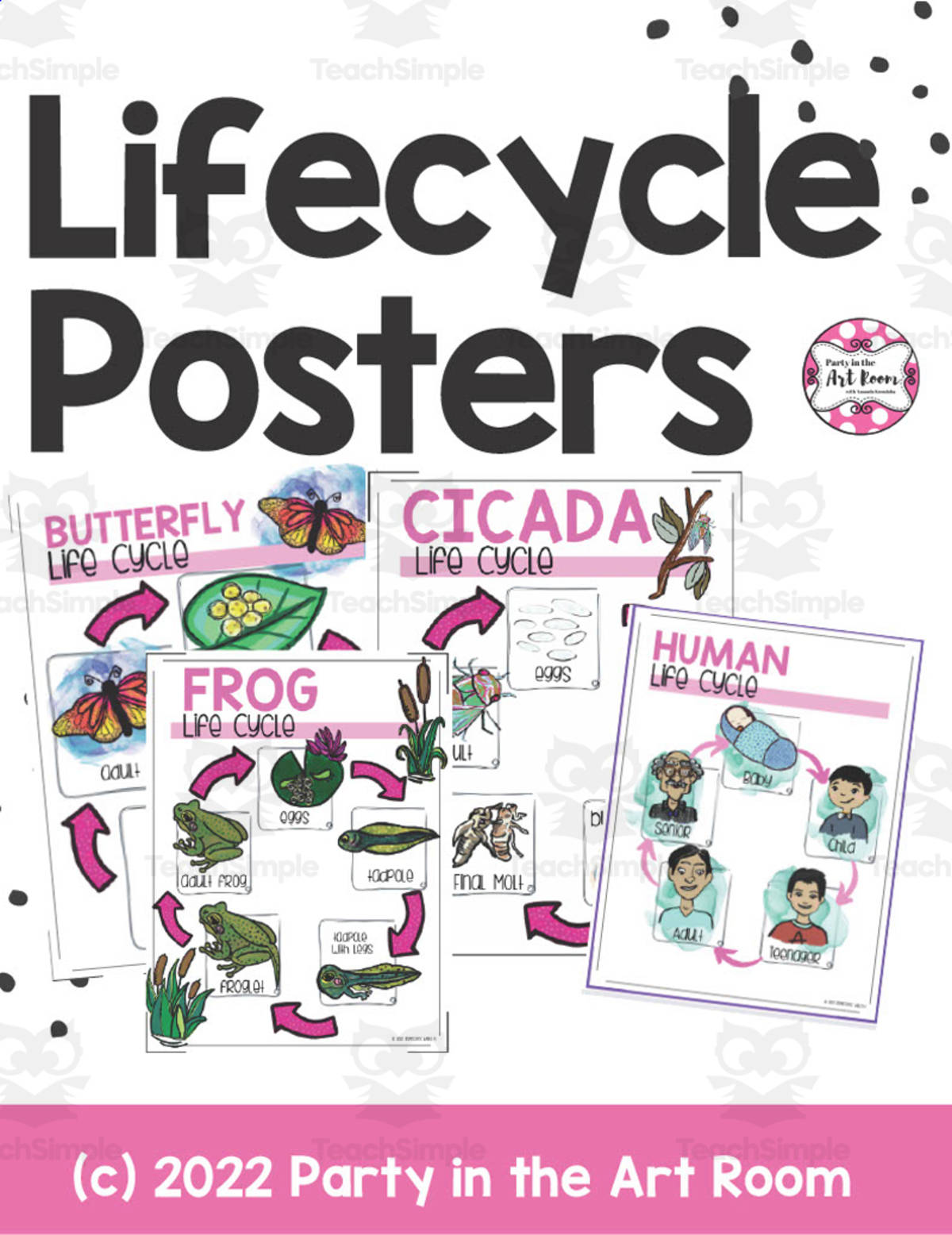 An educational teaching resource from Party in the Art Room - Arts & Crafts for Kids | Arts Integration entitled Life Cycles Posters downloadable at Teach Simple.