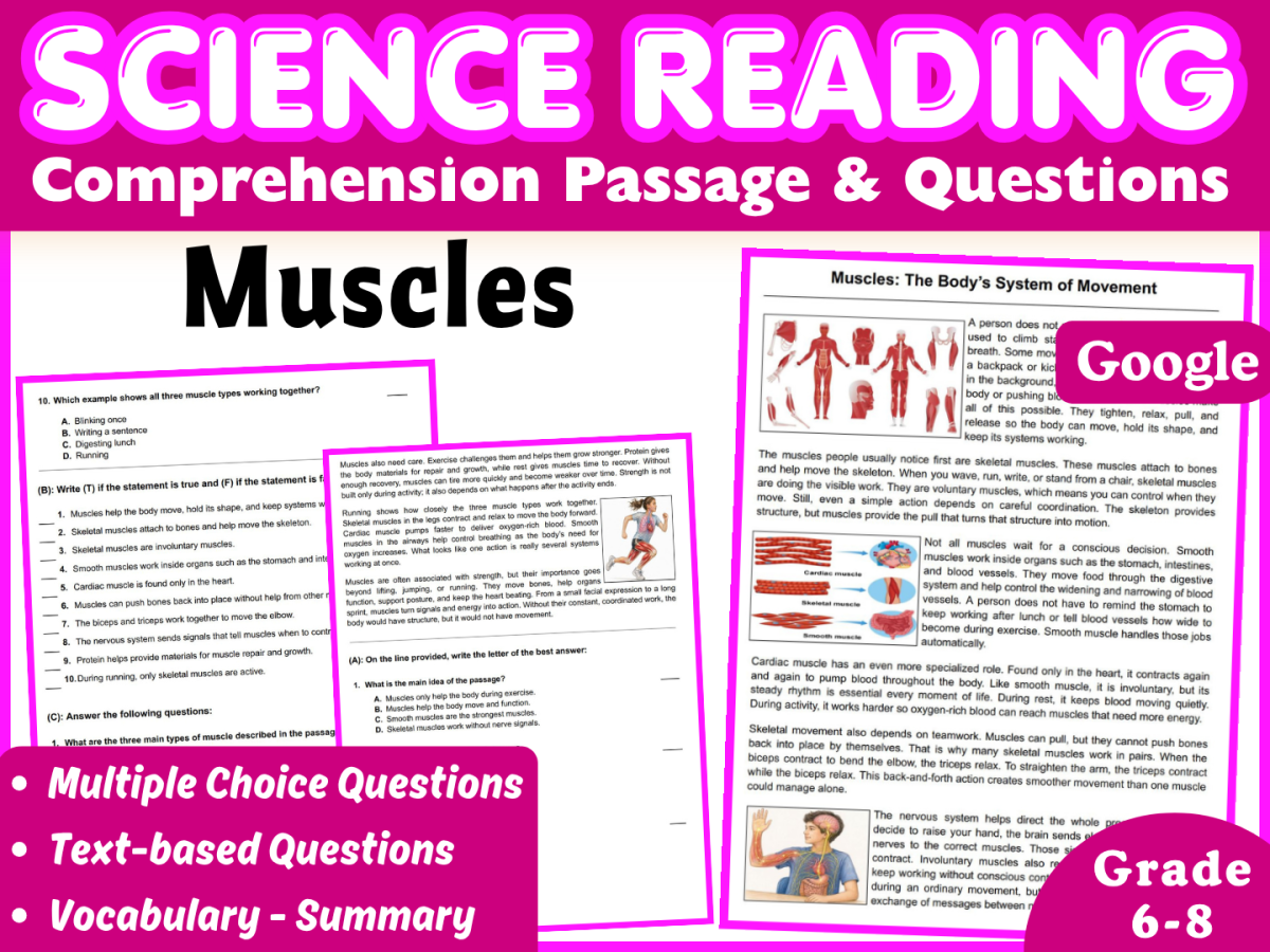 An educational teaching resource from CORED Education - Middle & High School entitled Life Science Reading Comprehension Passage: Muscular System (Docs) downloadable at Teach Simple.