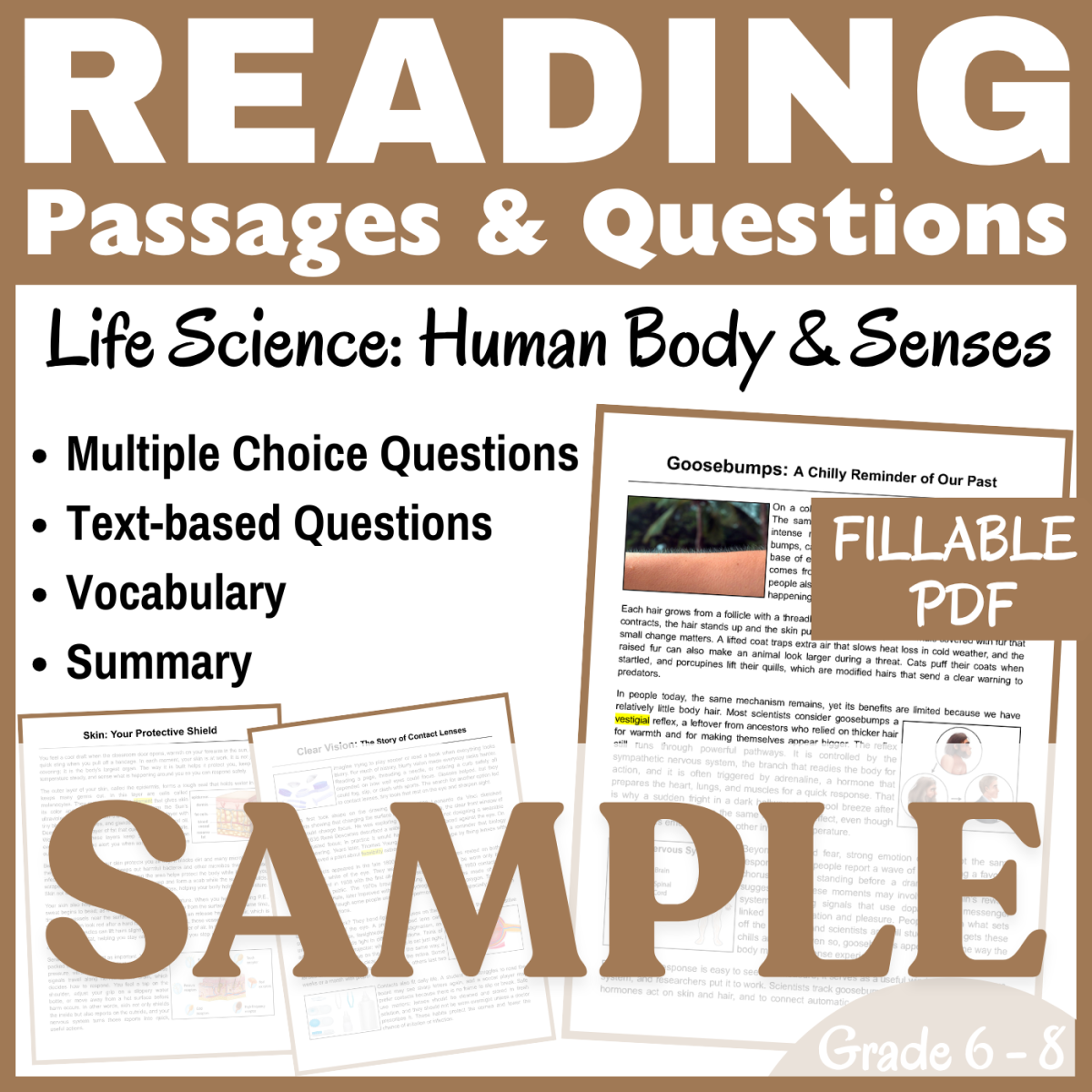 An educational teaching resource from CORED Education - Middle & High School entitled Life Science Reading Passage SAMPLE: SKIN & Human Body (FILLABLE PDF) downloadable at Teach Simple.
